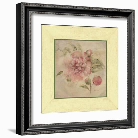 Dusty Pink Rose-Cheri Blum-Framed Art Print