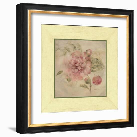 Dusty Pink Rose-Cheri Blum-Framed Art Print