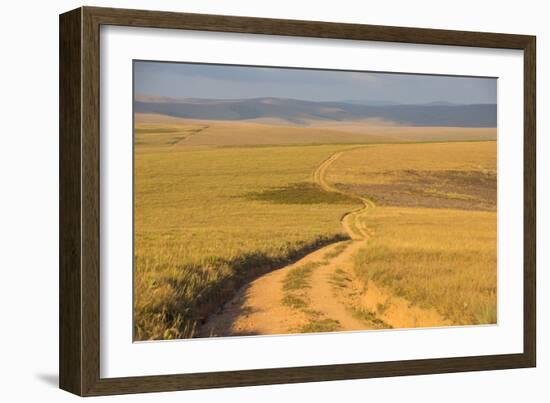 Dusty Road Leading Through the Nyika National Park, Malawi, Africa-Michael Runkel-Framed Photographic Print