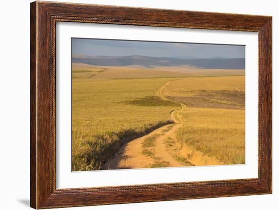 Dusty Road Leading Through the Nyika National Park, Malawi, Africa-Michael Runkel-Framed Photographic Print