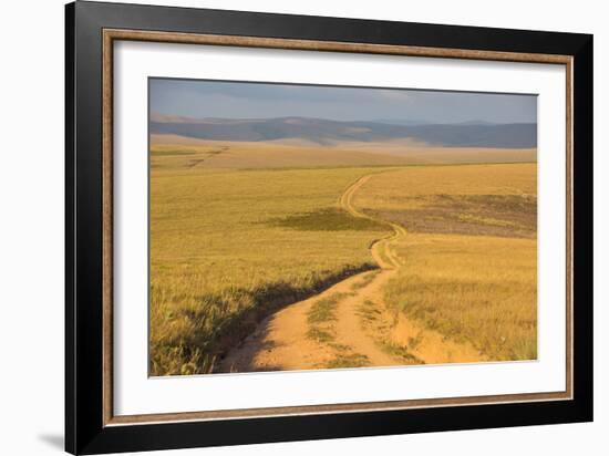 Dusty Road Leading Through the Nyika National Park, Malawi, Africa-Michael Runkel-Framed Photographic Print