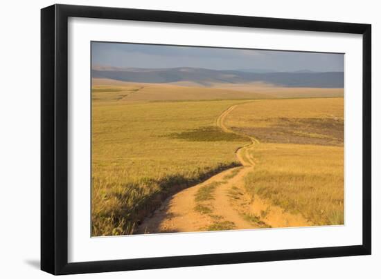 Dusty Road Leading Through the Nyika National Park, Malawi, Africa-Michael Runkel-Framed Photographic Print