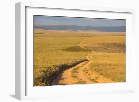 Dusty Road Leading Through the Nyika National Park, Malawi, Africa-Michael Runkel-Framed Photographic Print