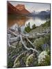 Dusty Star Mountain, St. Mary Lake, and Wildflowers at Dawn, Glacier National Park, Montana, United-James Hager-Mounted Photographic Print