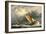 Dutch Cargo Boats in Rough Sea-Edward William Cooke-Framed Giclee Print