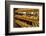 Dutch Cheese, Zaanse Schans, Zaandam Near Amsterdam, Holland (The Netherlands)-Gary Cook-Framed Photographic Print