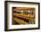 Dutch Cheese, Zaanse Schans, Zaandam Near Amsterdam, Holland (The Netherlands)-Gary Cook-Framed Photographic Print