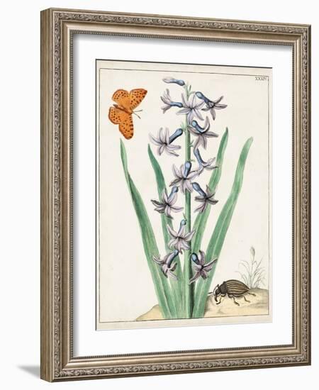 Dutch Florals I-Unknown-Framed Art Print