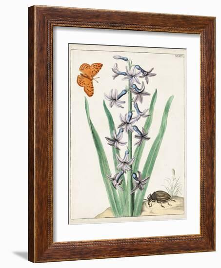 Dutch Florals I-Unknown-Framed Art Print