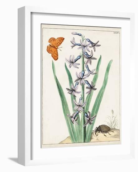 Dutch Florals I-Unknown-Framed Art Print