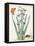 Dutch Florals I-Unknown-Framed Stretched Canvas