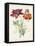Dutch Florals II-Unknown-Framed Stretched Canvas