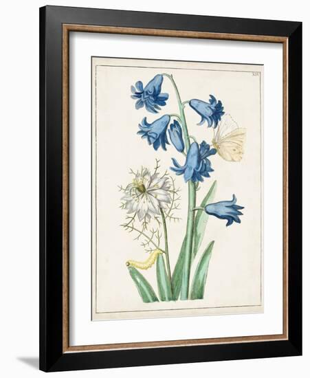 Dutch Florals IV-Unknown-Framed Art Print