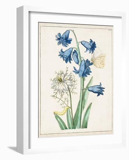 Dutch Florals IV-Unknown-Framed Art Print