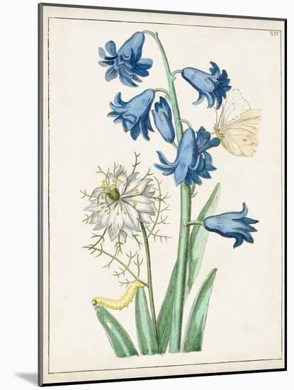Dutch Florals IV-Unknown-Mounted Art Print