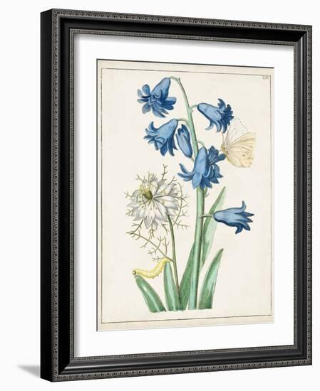 Dutch Florals IV-Unknown-Framed Art Print