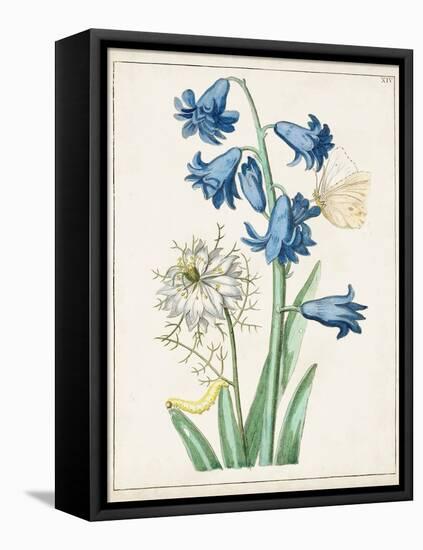 Dutch Florals IV-Unknown-Framed Stretched Canvas