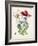 Dutch Florals IX-Unknown-Framed Art Print