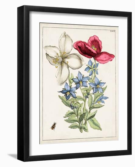 Dutch Florals IX-Unknown-Framed Art Print