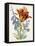 Dutch Florals VI-Unknown-Framed Stretched Canvas