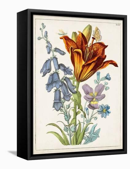 Dutch Florals VI-Unknown-Framed Stretched Canvas