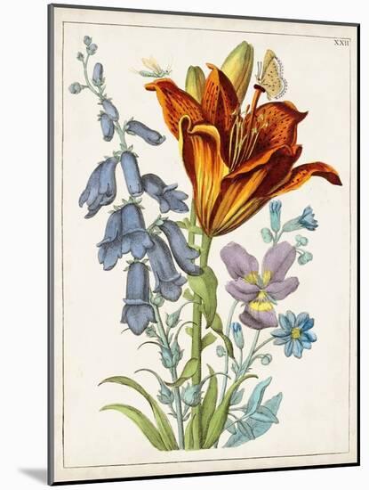 Dutch Florals VI-Unknown-Mounted Art Print