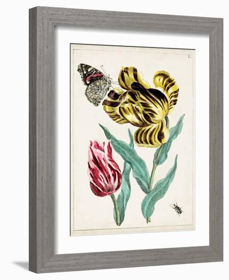 Dutch Florals VII-Unknown-Framed Art Print