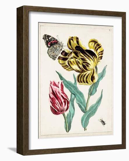 Dutch Florals VII-Unknown-Framed Art Print