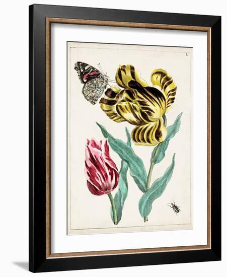 Dutch Florals VII-Unknown-Framed Art Print