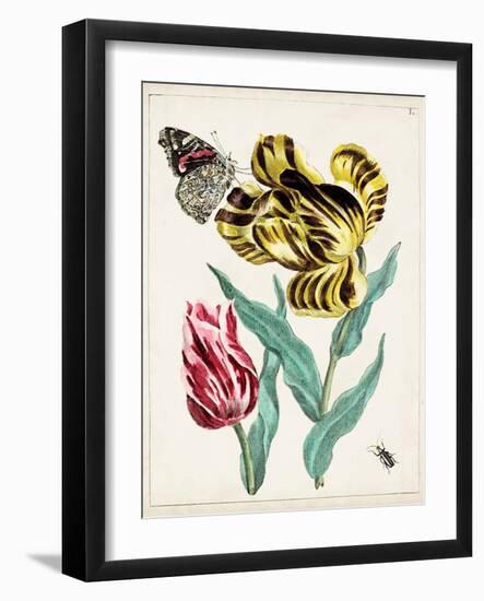 Dutch Florals VII-Unknown-Framed Art Print