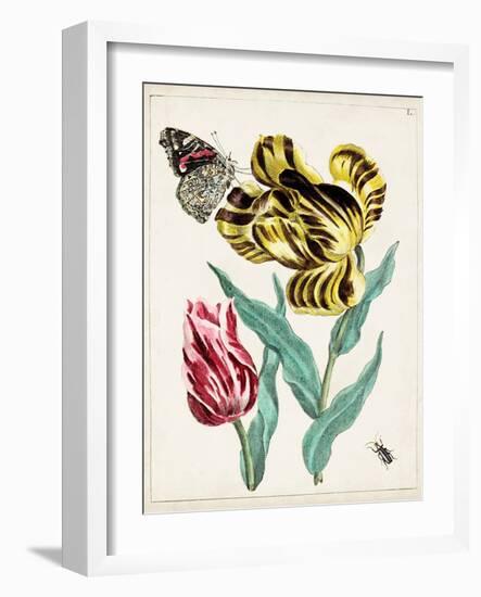 Dutch Florals VII-Unknown-Framed Art Print