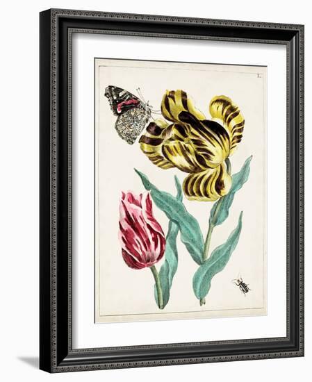 Dutch Florals VII-Unknown-Framed Art Print