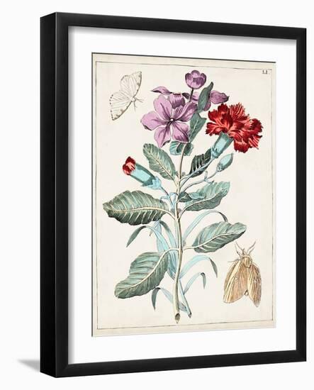 Dutch Florals VIII-Unknown-Framed Art Print