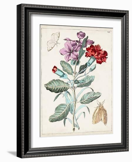 Dutch Florals VIII-Unknown-Framed Art Print