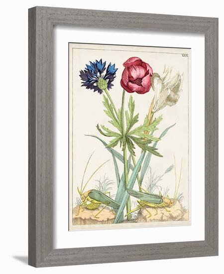 Dutch Florals X-Unknown-Framed Art Print