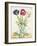 Dutch Florals X-Unknown-Framed Art Print