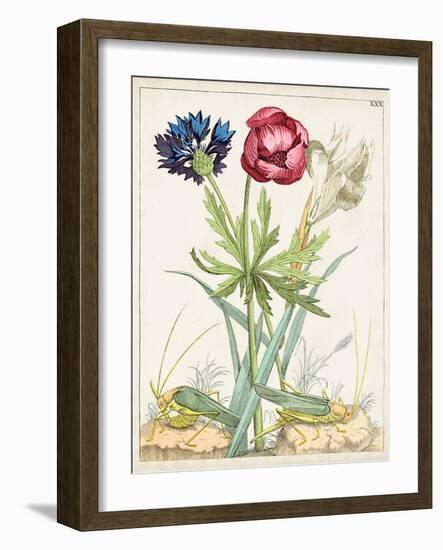 Dutch Florals X-Unknown-Framed Art Print