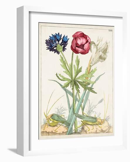 Dutch Florals X-Unknown-Framed Art Print