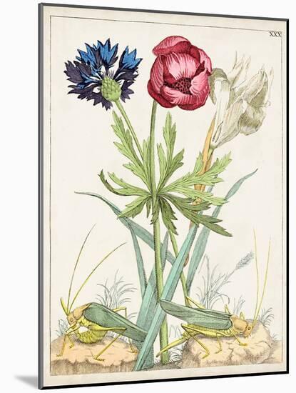Dutch Florals X-Unknown-Mounted Art Print