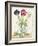 Dutch Florals X-Unknown-Framed Art Print