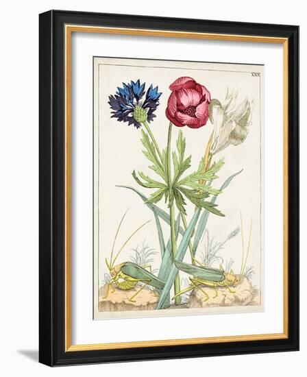 Dutch Florals X-Unknown-Framed Art Print