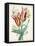 Dutch Florals XI-Unknown-Framed Stretched Canvas