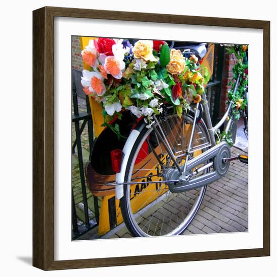 Dutch Flower-Power Bike-Magda Indigo-Framed Photographic Print