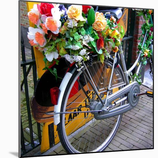 Dutch Flower-Power Bike-Magda Indigo-Mounted Photographic Print