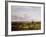 Dutch Landscape, 19th Century-Pieter Lodewijk Francisco Kluyver-Framed Giclee Print