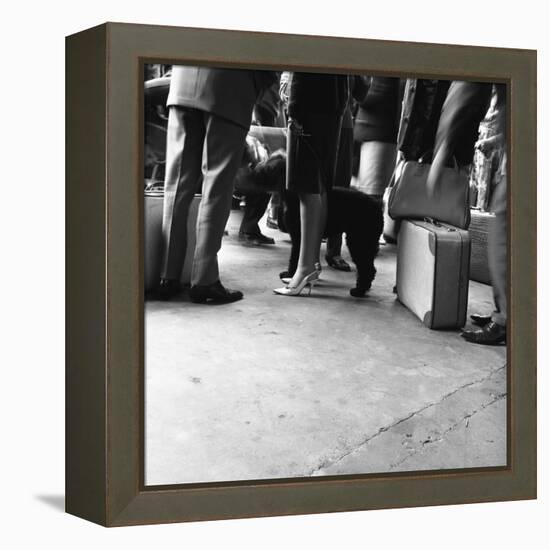 Dutch Legs, Amsterdam, Netherlands, 1963-Michael Walters-Framed Premier Image Canvas