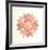 Dutch Rose Red-Kathy Caraccio-Framed Limited Edition