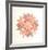 Dutch Rose Red-Kathy Caraccio-Framed Limited Edition