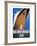 Dutch Travel Poster, 1932-Willem Ten Broek-Framed Giclee Print