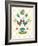 Dutch Treat I-Betz White-Framed Art Print